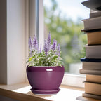 Ceramic Pots for Plants 6 Inch - Image 2