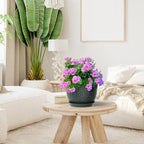 12/10/9 inch Large Plant Pots, 3 Pack Wide Flower Pots - Image 5