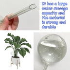 10 PCS Large Clear Plastic Watering Globes, Plant Self-Watering Bulbs, Flower - Image 3