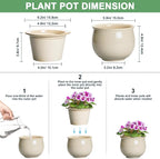 6 Inch Self Watering Pots for Indoor Plants, Ceramic African Violet Pots - Image 2