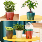 Self Watering Pots for Indoor Plants, Small African Violet Pots - Image 8