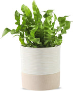 Nihow Self Watering Plant Pot: 4.5 Inch Ceramic Planter by Nihow