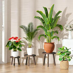 3 Pack Plant Stand Indoor Outdoor Mid-Century Modern Plant Stool Wooden Plant - Image 2