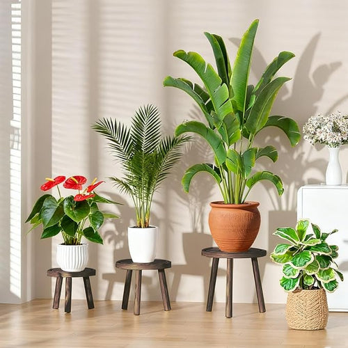 3 Pack Plant Stand Indoor Outdoor Mid-Century Modern Plant Stool Wooden Plant - Image 2