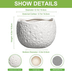 Ceramic Pots for Plants - Image 2