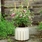 3Pack Bamboo Trellis 16 Inch Fan Shaped Small Plant Trellis - Image 6