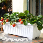 6 Packs Window Box Planter, 17 Inches Flower Window Box Rectangular Plastic - Image 6