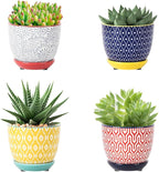 Selamica Ceramic Succulent Pots by Selamica