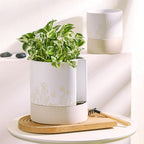 Nihow Self Watering Plant Pot: 8 Inch Ceramic Planter - Image 5