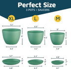 Mint Plant Pots with Drainage Holes & Saucers 3 Pack, Indoor & Outdoor - Image 2