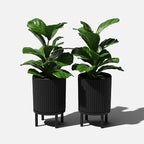 Veradek Demi Series Round Planter w/Stand - Image 9
