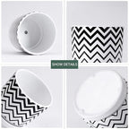Ton Sin Plant Pots, 5.5 Inch White Pots - Image 4