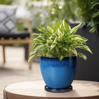 Ceramic Planters for Indoor Plants - Image 5