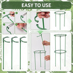 36 Pack Plant Support Stakes Sets - Image 5