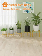 5-Pack Metal Plant Stand Indoor Anti-Rust Flower Display Stand Heavy Duty - Image 7