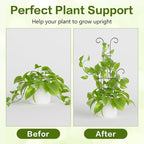 Larger 23.6in Plant Trellis for Climbing Plants Indoor Outdoor, 4 Pack - Image 4