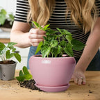 6 Inch Plant Pot - Image 6