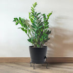 Self Watering Pots for Indoor Plants, 12 inch Planters - Image 7