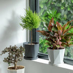 InmeRun Plant Pots Indoor Plastic Flower Pots Outdoor 7 inch Set of 6 Pack - Image 3