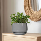 G EPGardening Ceramic Plant Pots - Image 6