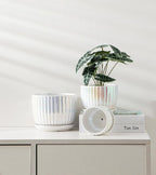 Ton Sin White Plant Pots, Pearl Gold Ceramic Flower Pots 4"+5"+6" Inch Indoor - Image 4