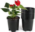 Wholesale Bulk Nursery Pot 5.5 Inch Black Plastic Planters 30-Pack 0.5 Gallon by CottaPlanters