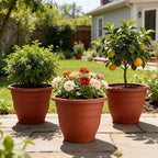3 Pack Large 16 Inch Plastic Plant Pots - Image 5