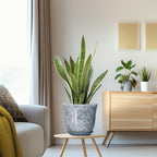 Ceramic Plant Pots - Image 5