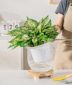 Melphoe Self Watering Pots for Indoor Plants Planter, 8.3/5.3 Inch 2 Pack - Image 4