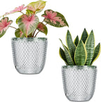 QCQHDU 2 Pack Self Watering Pots, 7.2 Inch Flower Pots by QCQHDU