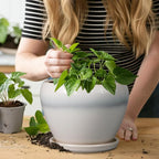 Ceramic Planter - Image 7