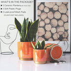Gepege Ceramic Indoor Pots for Plants, Rainbow Pearl Glaze Planter - Image 3