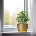 SQOWL Ceramic Flower Pot - Image 4