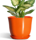 5.6 Inch Plant Pot by SUNPOTFOR