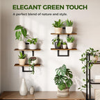 Bamworld Floating Shelves for Wall Planters for Indoor Plants Hanging Shelves - Image 4