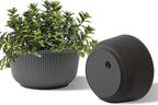 T4U 8 Inch Plant Pots, 2 Pack Self Watering Planter by T4U