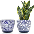 Selamica Ceramica Plant Pots, 6.5 Inch Flower Pots Set of 2 by Selamica