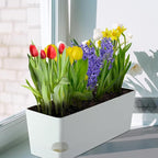 2 Pack Self Watering Pots for Indoor Plants 17 Inches Window Boxes Planters - Image 9