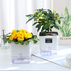 FAMZ Self Watering Planters 4 Pack，Self Watering Pots - Image 8