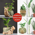 Small Ceramic Succulent Pot - Image 2