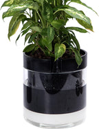 Phoenix Vine 10 Inch Self Watering Terracotta Planter by Phoenix+Vine