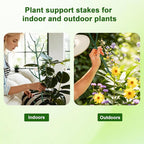 6 Pack Stackable Monstera Plant Support, Plant Stakes - Image 6