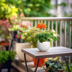 4 inch Plant Pots - Image 6