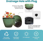2 Pack Plant Pots for Indoor Outdoor Plants, 8 inch Plastic Flower Pots - Image 3