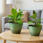2 Pack Plant Pots for Indoor Outdoor Plants, 8 inch Plastic Flower Pots - Image 5