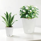 3" Self Watering Pots - Image 7