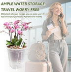 Clear Self Watering Pots for Indoor Plants - Image 2