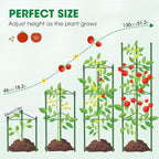 3 Pack Tomato Cages, 51.2in Tomato Plant Support Stakes Heavy-Duty, Garden - Image 4