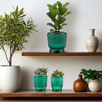 Set of 6 Self Watering Plant Pot 3 Sizes Plastic Double Layer Self Watering - Image 6