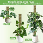 60"/40"/24" Metal Moss Pole, D Shape Sphagnum Moss Pole, Moss Poles - Image 2